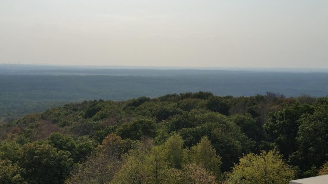 K800 Blick vom Collm N Sieck