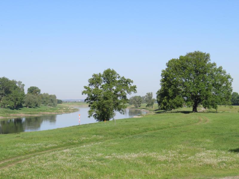 Elbe Bei Graditz