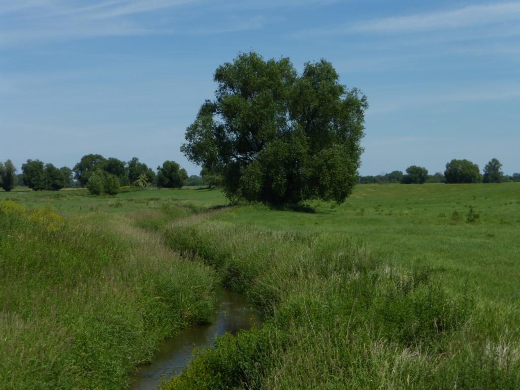 K1024 Grenzbach Elbaue