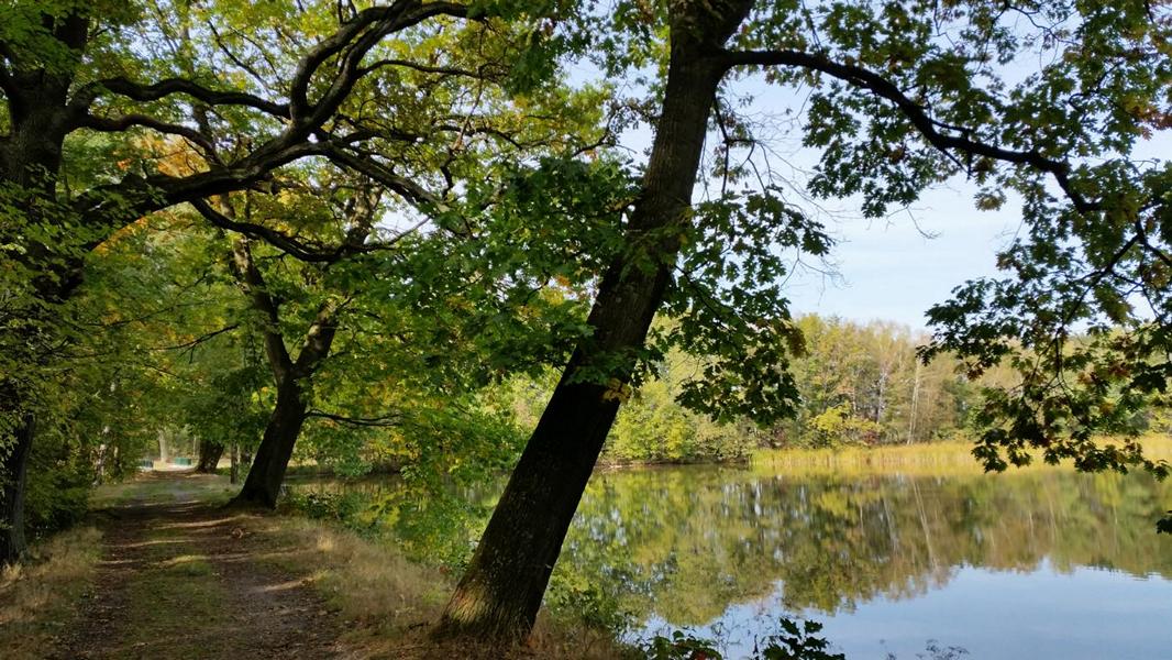 K800 Mhlteich Dahlen 122116