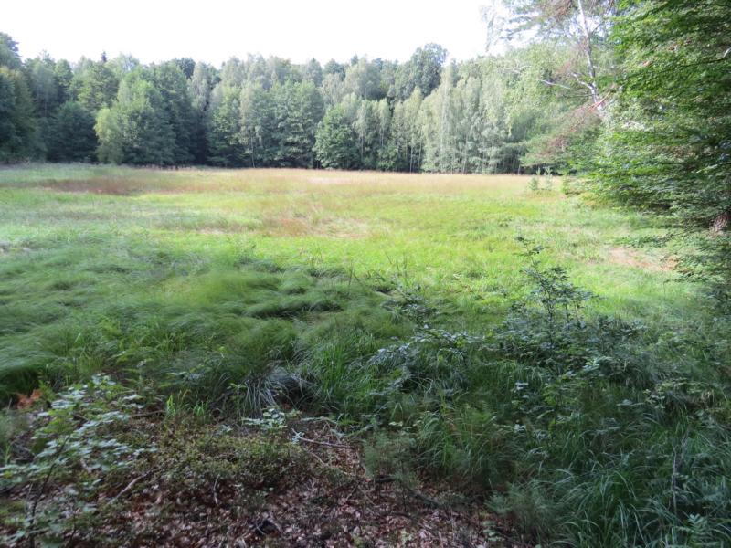 K800 Schulwiese Lausa