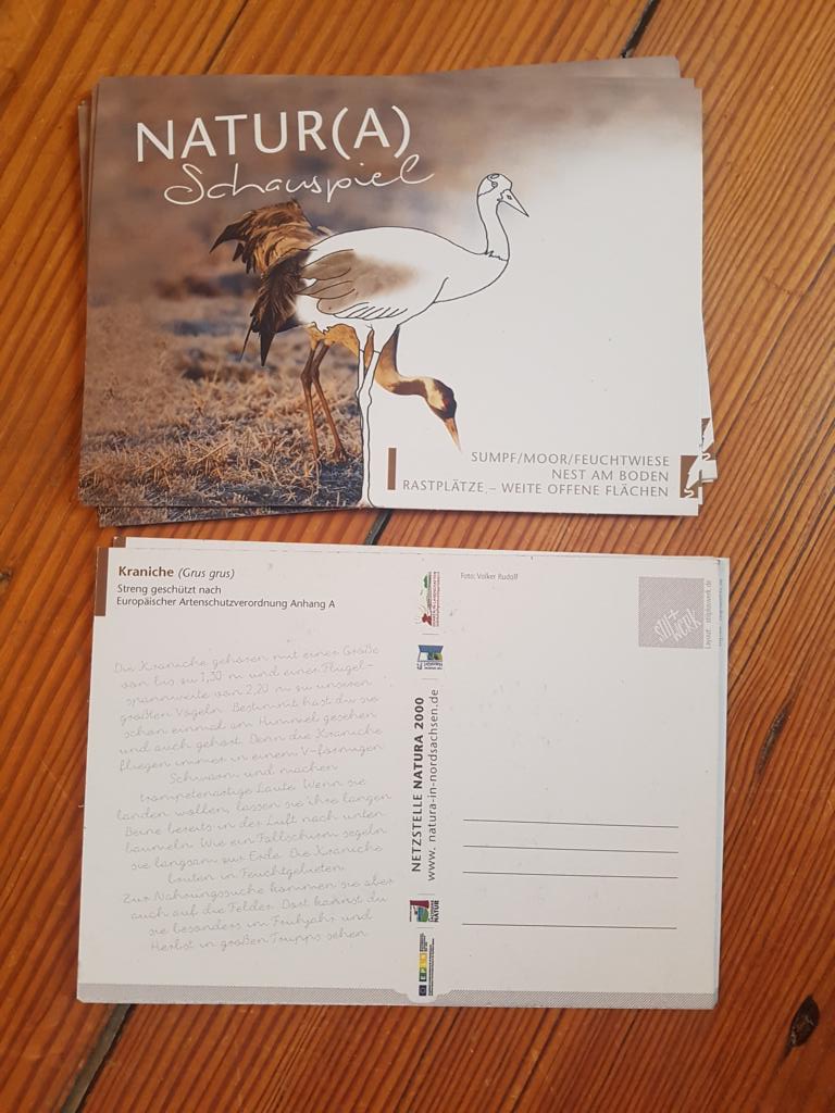 K1024 Natura 2000 Postkarte Kranich