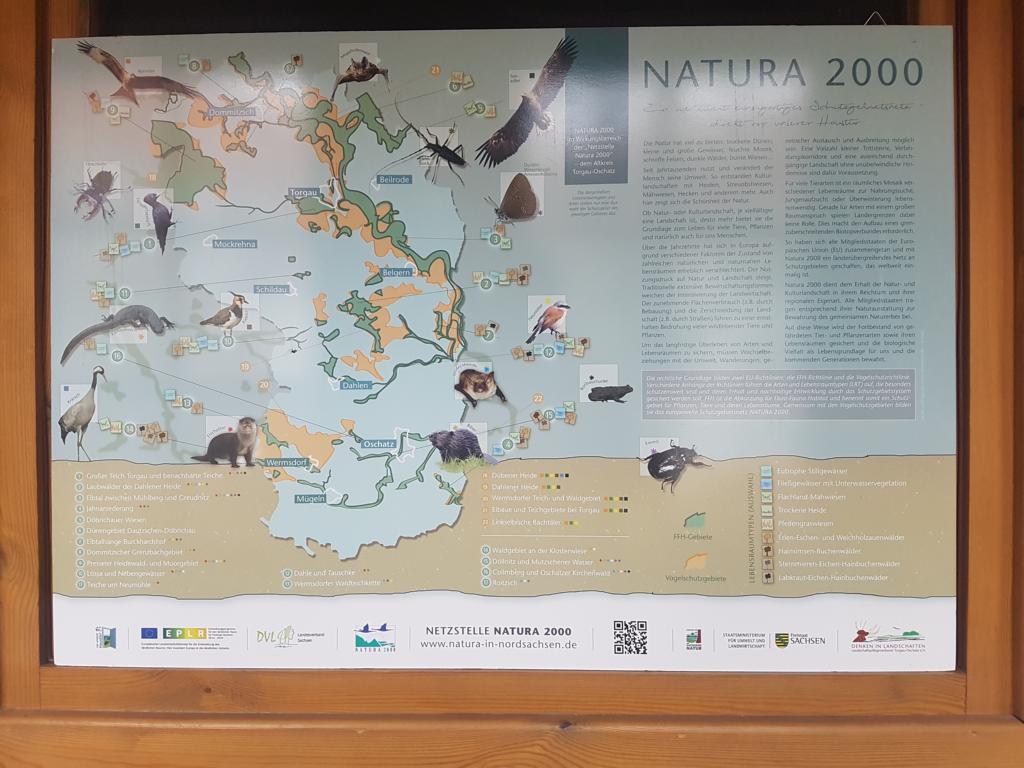Natura 2000 - ein weltweit einzigartiges Schutzgebietsnetz direkt vor unserer Haustür