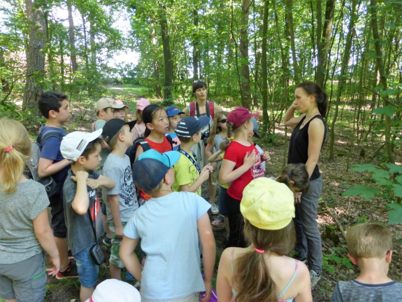 K800 2016 06 Geschwister Scholl GS Lpz Dahlen 01