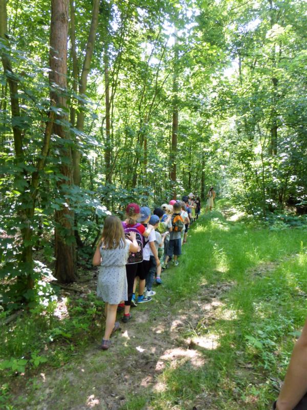 K800 2016 06 Geschwister Scholl GS Lpz Dahlen 04