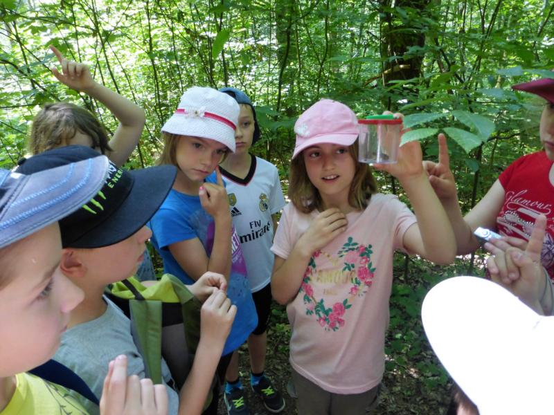 K800 2016 06 Geschwister Scholl GS Lpz Dahlen 05