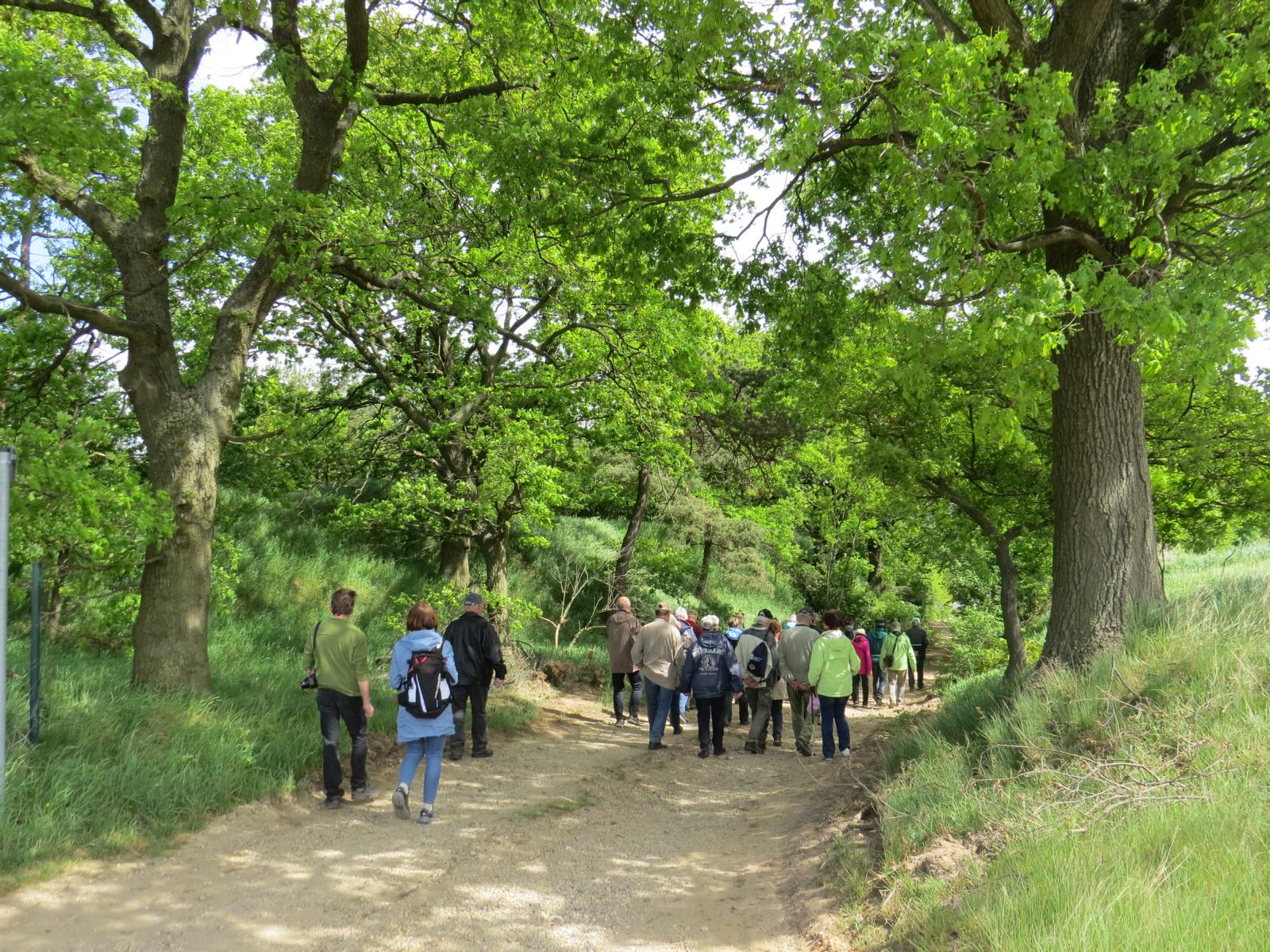 2018 05 1 Netzstelle N2000 07