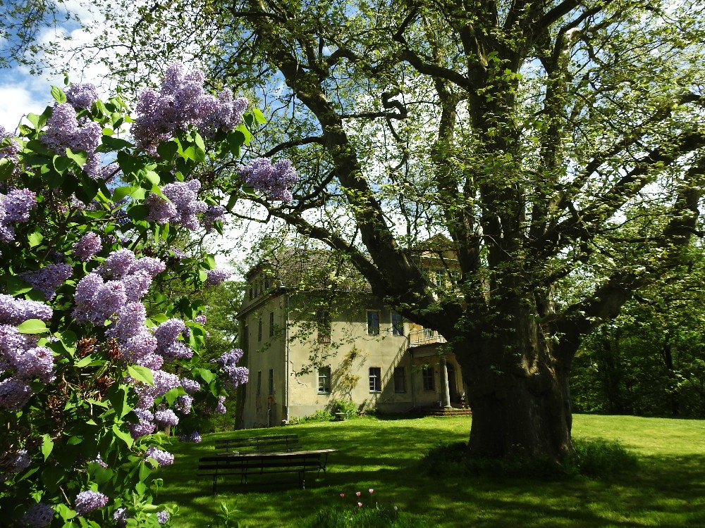 2018 05 1 Netzstelle N2000 08