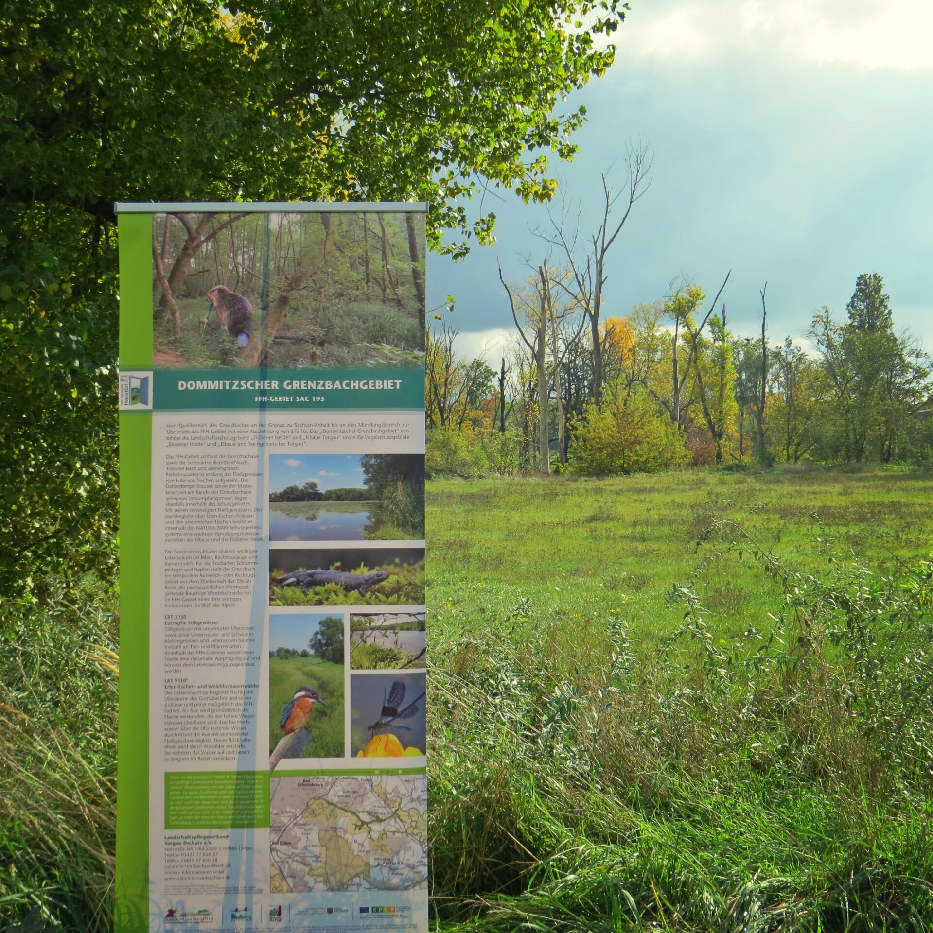 das FFH-Gebiet Dommitzscher Grenzbchgebiet ist Teil der Natura 2000-Schutzgebietskulisse