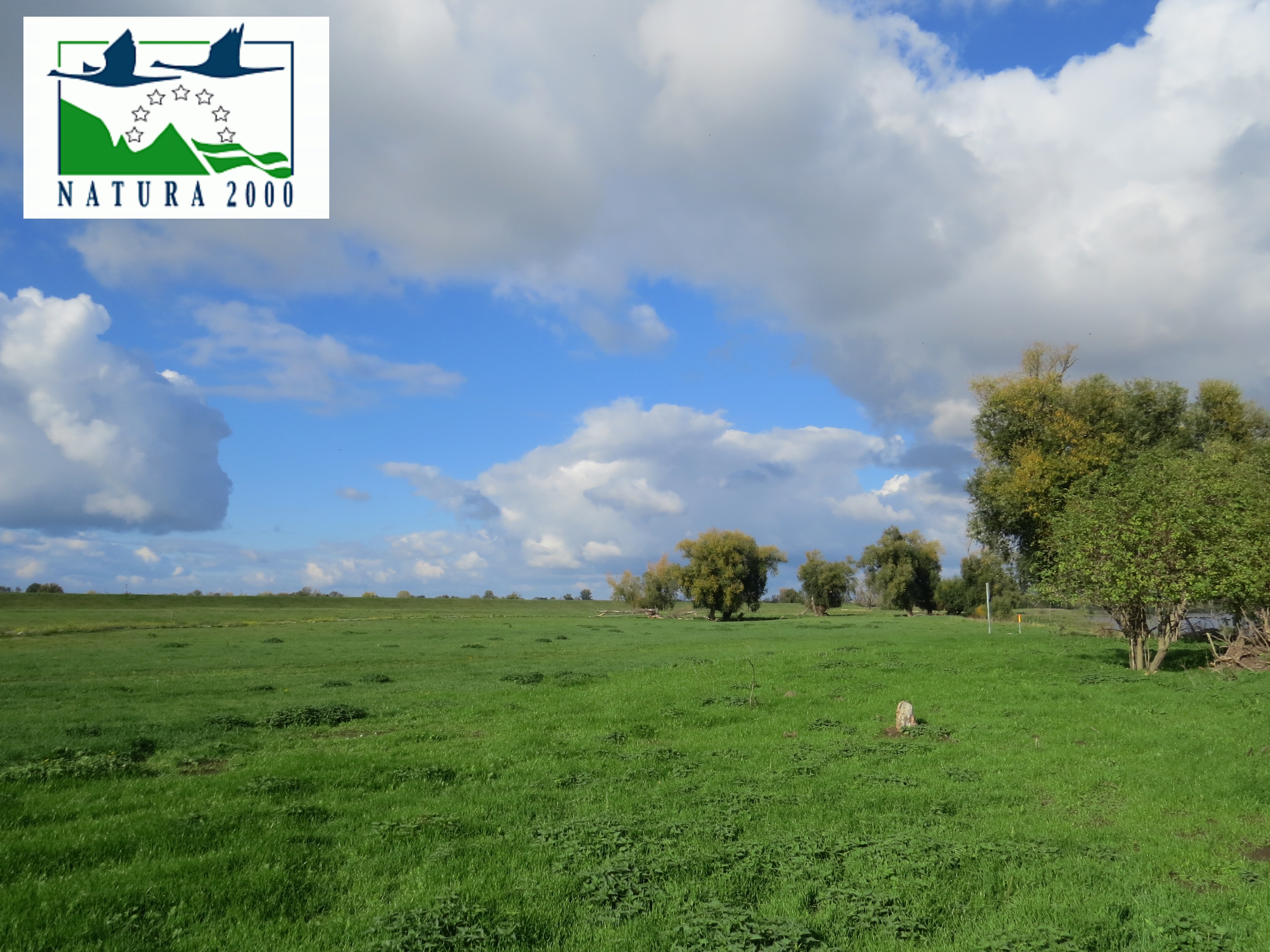 Pressebild Elbaue Dommitzsch N2000