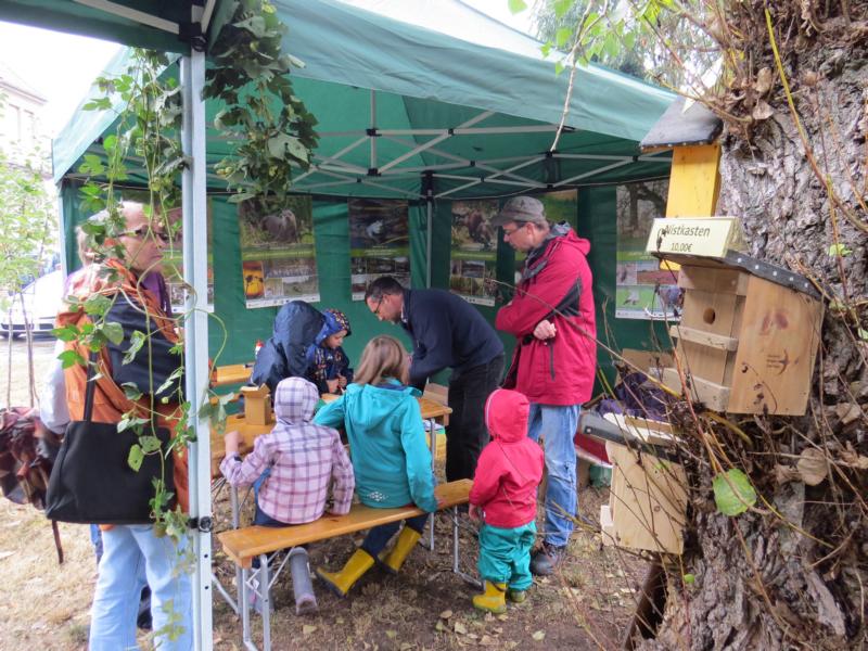 K800 2016 10 Apfeltag Kathewitz 01