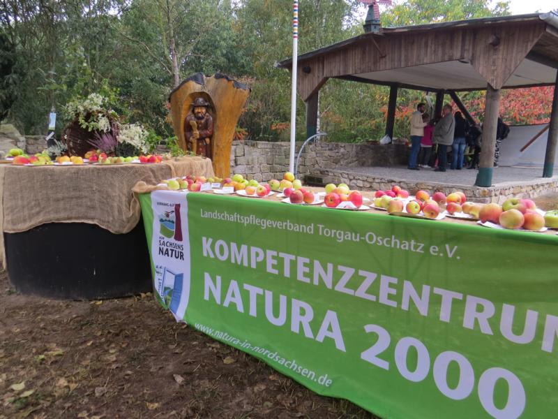 K800 2016 10 Apfeltag Kathewitz 07