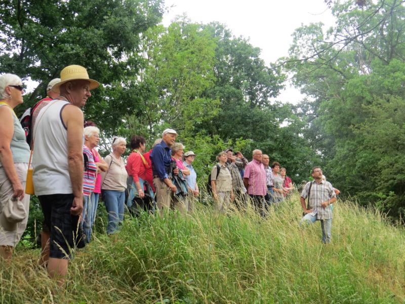 K800 2018 06 10 Schifffahrt Elbe 04