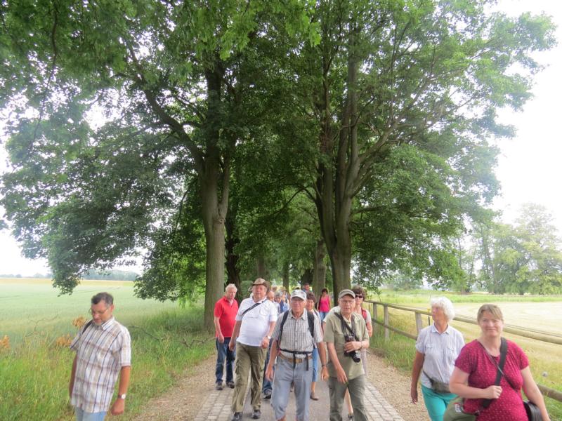 K800 2018 06 10 Schifffahrt Elbe 11