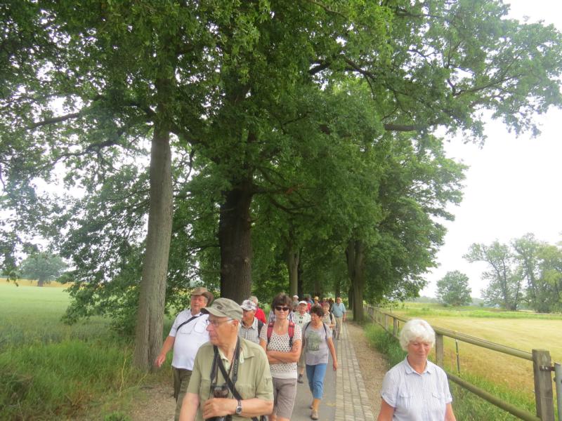 K800 2018 06 10 Schifffahrt Elbe 12