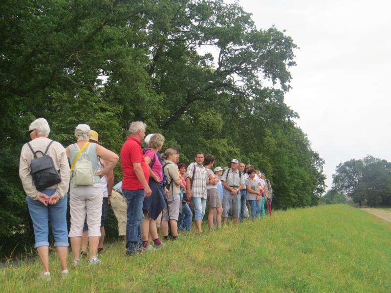 K800 2018 06 10 Schifffahrt Elbe 13