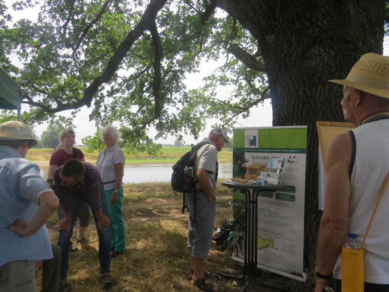 K800 2018 06 10 Schifffahrt Elbe 15
