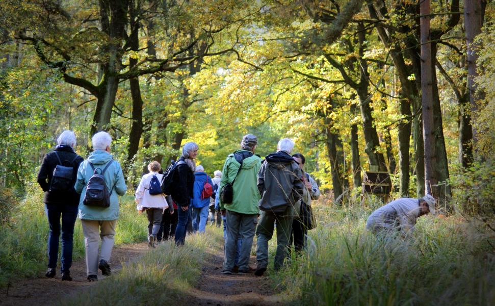 K800 Busfahrt Dbener Heide 02135