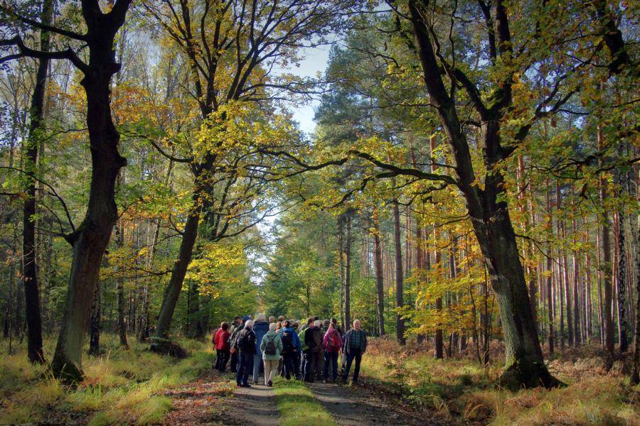 K800 Busfahrt Dbener Heide 02139