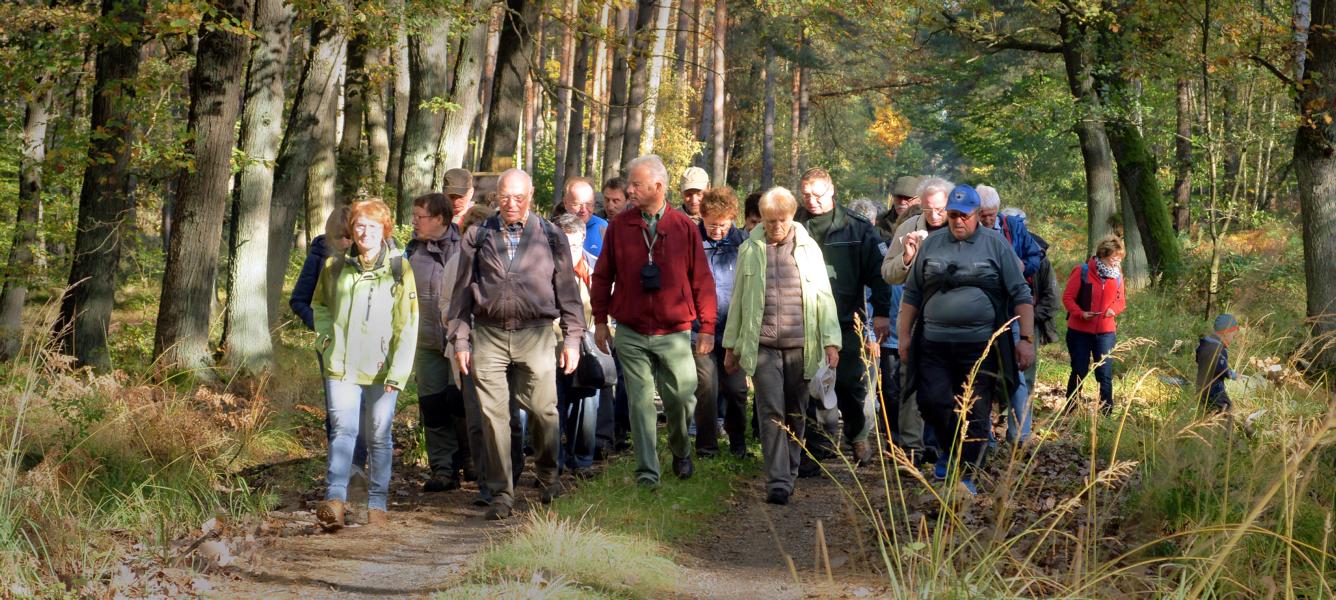 K800 Busfahrt Dbener Heide 02142