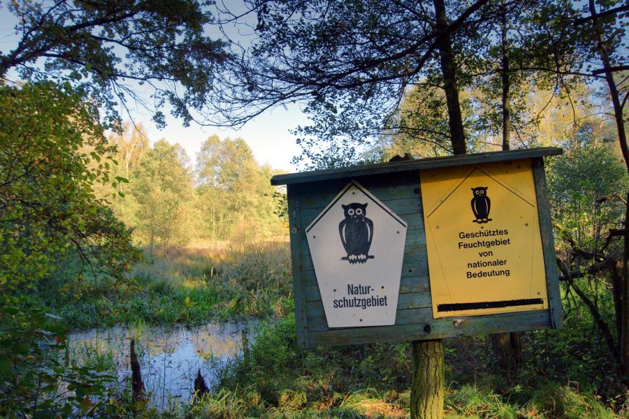 K800 Busfahrt Dbener Heide 02175