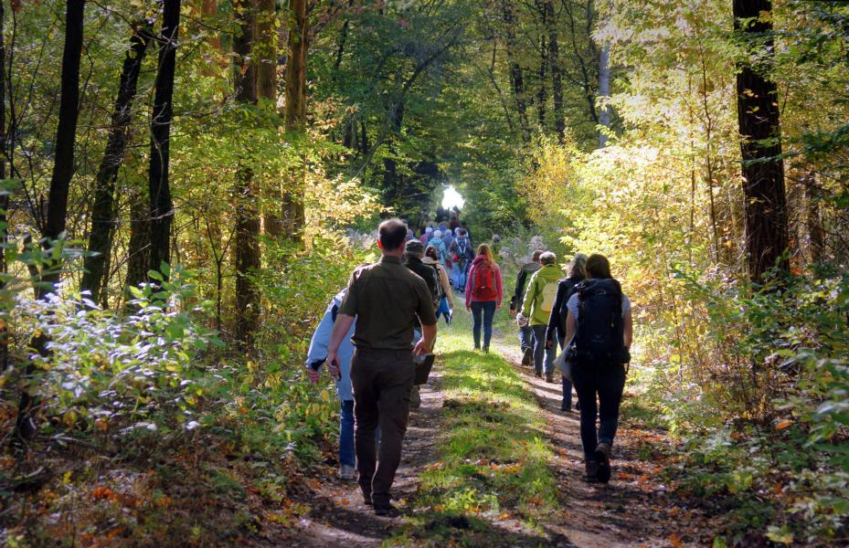 K800 Busfahrt Dbener Heide 02220